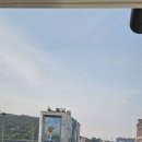 밀등제 Daum카페