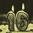 글로벌세탁 이미지