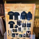 위너팰리스 | 🇬🇧 런던 연극 <해리 포터와 저주받은 아이> 후기: £40 로터리 티켓 꿀팁, Palace Theatre 극장 1층 1열...