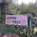 하늘&풀농장