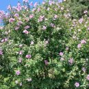 자만동경로당 이미지