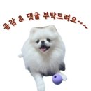 세븐일레븐 대구노변공원점 | 일본 규슈 후쿠오카 11월 여행 일정 벳푸(벳부) 유후인 포함 3박 4일 자유여행코스(1)