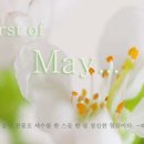 오월의수수꽃다리