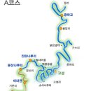 에이스동강래프팅