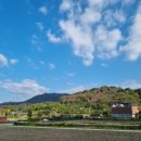 장동로~산디로 이미지