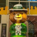 강아지는 내 운명 이미지