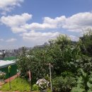 진성빌딩 이미지