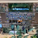 웰니스펫뷰티 | GRAND OPEN! 운정 스타필드 빌리지 프리오픈 방문 후기 (2025.12.03(수)-04(목)) / 층별안내 &amp; 오픈행사...