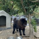 진주민박 이미지