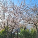 회야강변 이미지