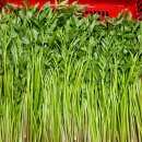 빛나농장 이미지