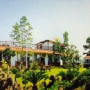 플라마 | [제주도 펜션] 플라마 펜션 후기!