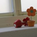 신진초등학교병설유치원 이미지