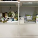 호수공원 관리사무소 | [검단호수공원역 호반써밋 5차] 포장이사 후기/아기짐까지 늘어서 맡겨봤어요!