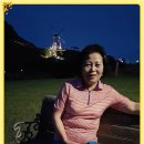 민금자 Daum카페