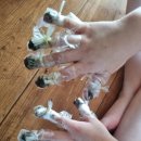 Hardy's B&B 이미지