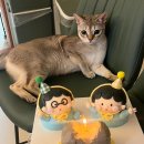 케익하우스 예n지 | 3월 일상 모아모아