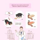 탄현 동물병원 이미지