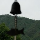 13. 엄마소도 얼룩 소 이미지