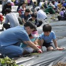 목화공원3 이미지