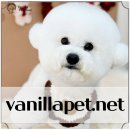 명문애견 이미지