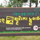 펫빌리지 이미지