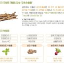 편안한건강식품 이미지