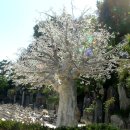 풍경안에서 이미지