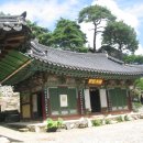 강덕무관 | 심재근의 우리땅 순례 (37) 남강⑩-산청 경호강을 따라