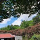 동방농장 이미지