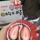 행여나목장 | 여수웅천 생딸기모찌 완전 추천 | 모찌에 7만원 넘게씀 여수 딸기모찌 저렴하고 맛있는 곳 내돈내산