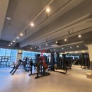 라이징PT 이미지