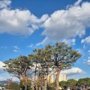 영암군청 | 영암군청 스마트돌봄플러그와 고독사예방 사업 노력