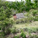 평화부동산중개사무소 이미지