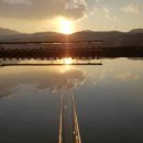 단강낚시터 이미지