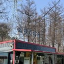 토끼게임장 | 동두천캠핑장 동두천당일캠핑 인디언숲캠프닉 다녀온 후기