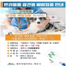 해맑은 동물병원 이미지
