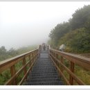 팔공산 하늘정원 이미지