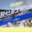 휘닉스파크원스키렌탈샵 - 평창군 태기로 279 | 휘닉스파크 렌탈샵 스키강습 추천 시즌 후기