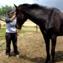 세라목장 이미지