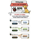 데스티니 퍼피 이미지