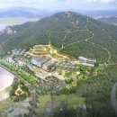 진도상설시장 이미지