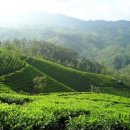 퀸스 휘트니스 이미지