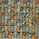 경호태권도 이미지