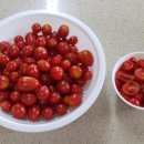 토마토댄스스포츠학원 이미지