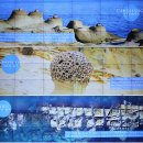 250831~0903 대만 2 이미지