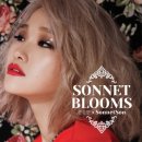 손승연헤어