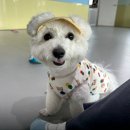 루이야 놀고 자고 GO 이미지