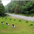 밤재 등산로 이미지