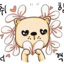 정왕썬팅